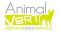 Animal_Vert_LOGO_site